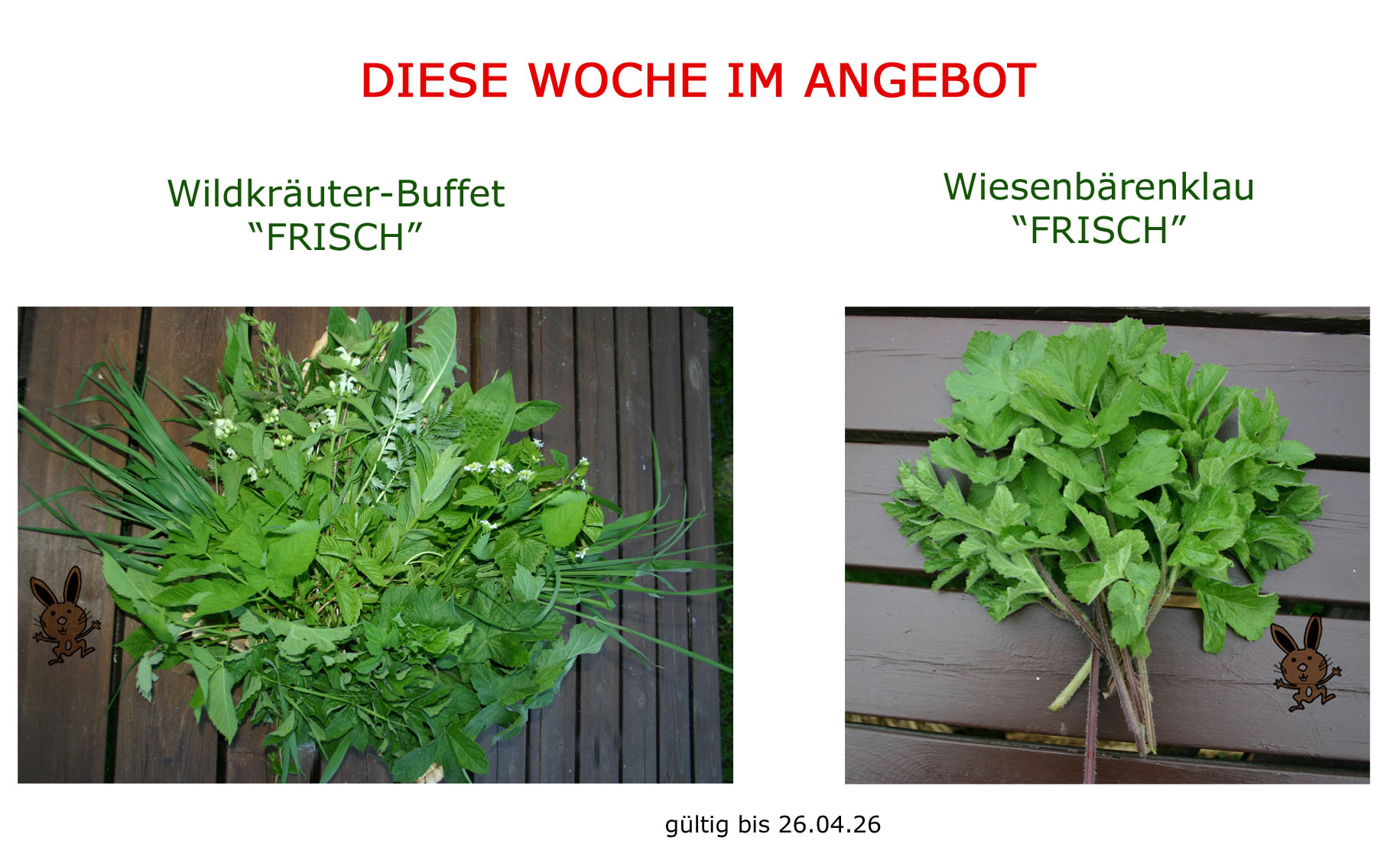 Frische Wildkräuter