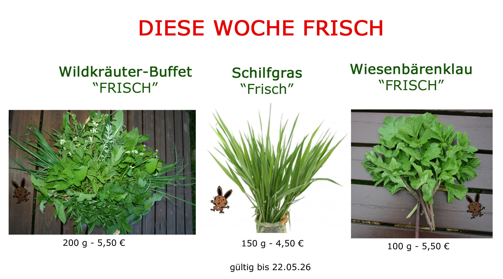 Wildkräuter-Buffet