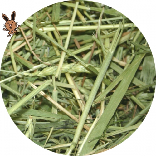 Grüner Dinkel