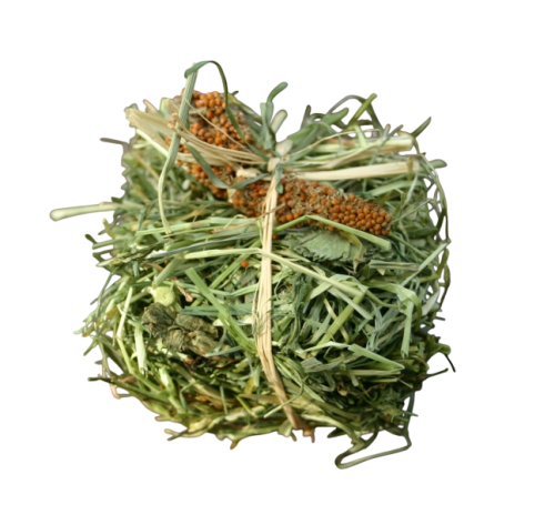 Schnuffelzwerge-Futterland.de - Heuspass mit Rosinen und Kolbenhirse Schnuffelzwerge-Futterland.de - Heuspass mit Rosinen und Kolbenhirse