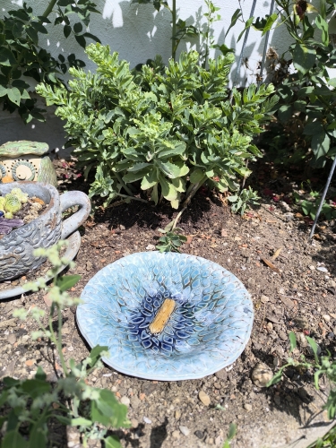 Preview: Bodentränke für Vögel Igel & Co.