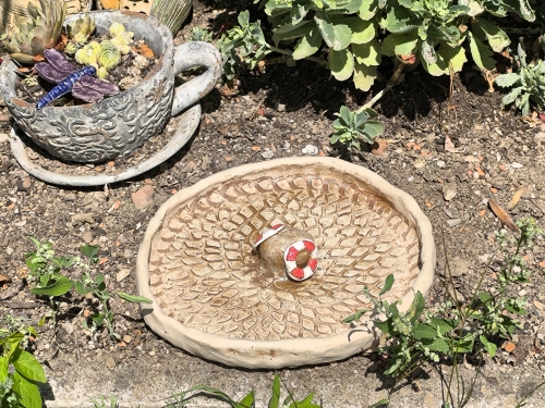 Preview: Bodentränke für Vögel Igel & Co.