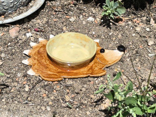 Igel Futternapf oder Wassernapf aus Keramik