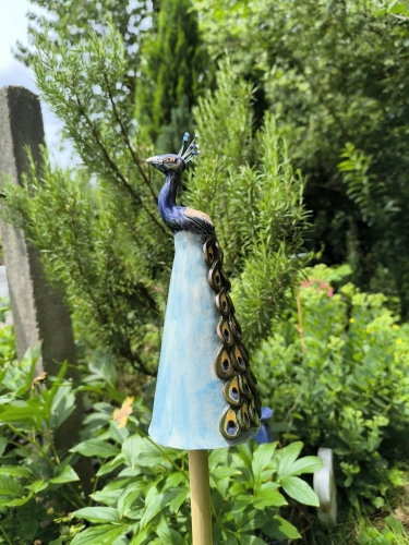 Preview: Zaunhocker Pfau