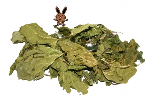 Maulbeerblätter getrocknet