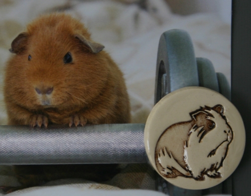 Preview: Magnet Meerschweinchen mit starkem Neodym Magnet in drei Farben