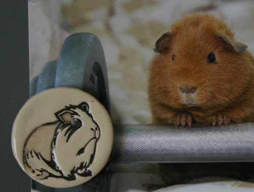 Preview: Magnet Meerschweinchen mit starkem Neodym Magnet in drei Farben