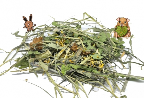 *NEU Schlemmermix 500g