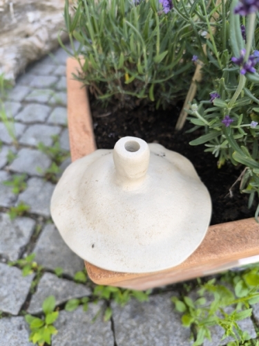 Steck-Insektentränke - Apfelgrün mit Schmetterling