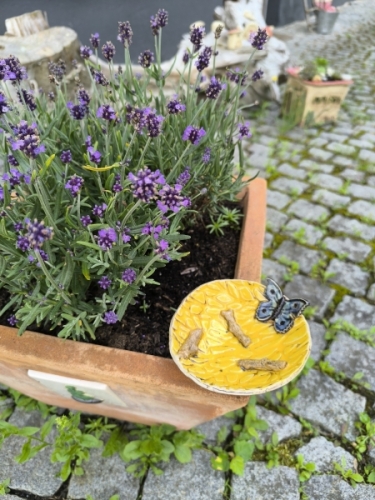 Insektentränke mit Schmetterling - VERKAUFT