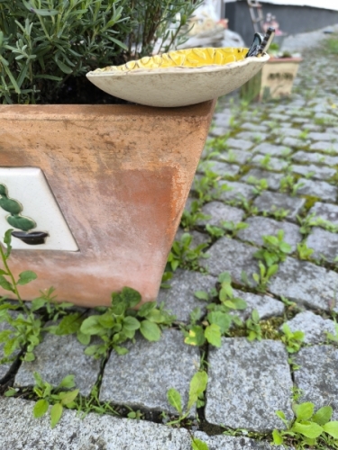 Preview: Insektentränke mit Schmetterling - VERKAUFT