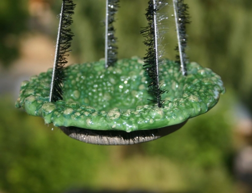 Insektentränke hängend mit rutschfestem Perlenrand aus Keramik - Smaragd