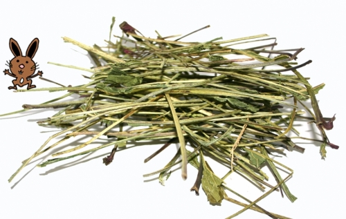 Echinacea-Knabberstielchen, 125 g
