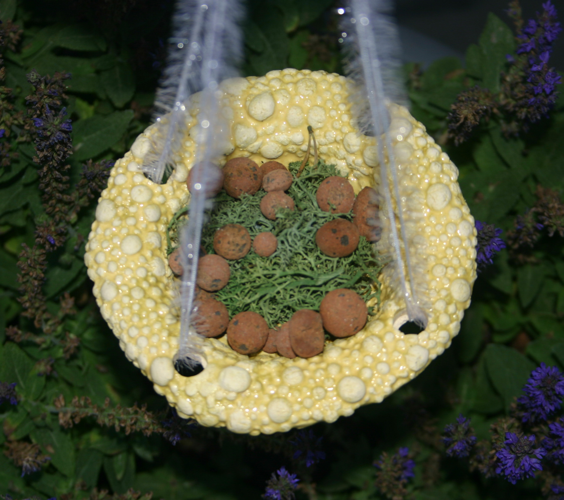 Schnuffelzwerge-Futterland.de - Insektentränke hängend mit rutschfestem  Perlenrand aus Keramik - Lemon