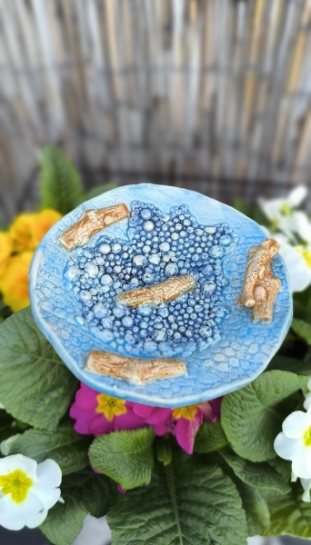 Insektentränke mit vielen Landemöglichkeiten