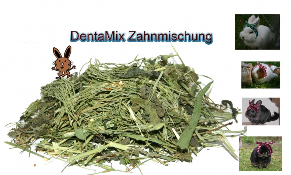DentaMix - Zahnmischung mit Ackerschachtelhalm