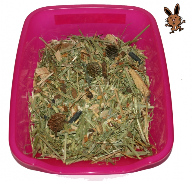 Schnüffel-Box "Walderlebnis"- Meerschweinchen