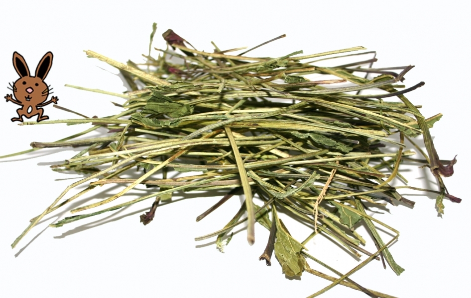 Echinacea-Knabberstielchen, 125 g