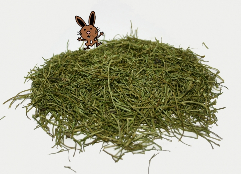 Kerbelstiele getrocknet