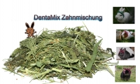DentaMix - Zahnmischung mit Ackerschachtelhalm