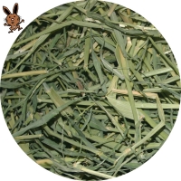 Gerstengras getrocknet