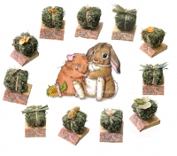 Heuspass mit unterschiedlicher Füllung zur Auswahl