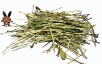 Echinacea-Knabberstielchen, 125 g