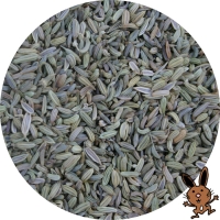 Fenchelsamen