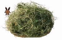 Schwarzwald-Kräuterheu