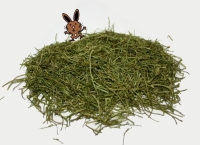 Kerbelstiele getrocknet